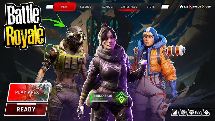 battle royale multiplayer gameplay with friends